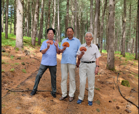 2022年8月17号。中(zhōng)國(guó)靈芝藥理(lǐ)之父林志(zhì)彬教授和林東星董事長(cháng)，來我“杉芝源”指導工(gōng)作(zuò)。